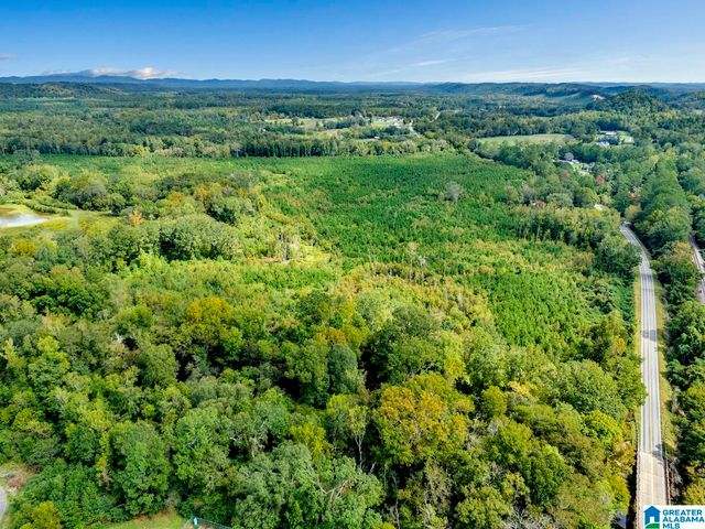 0 WARRIOR ROAD, Ohatchee, AL 36271