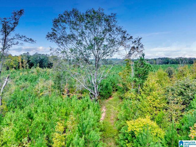 0 WARRIOR ROAD, Ohatchee, AL 36271