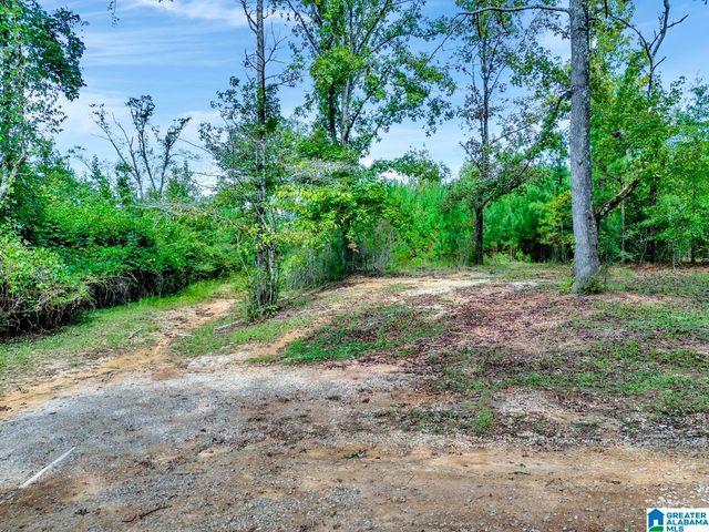 0 WARRIOR ROAD, Ohatchee, AL 36271