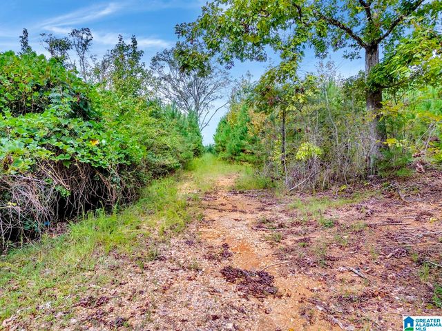 0 WARRIOR ROAD, Ohatchee, AL 36271