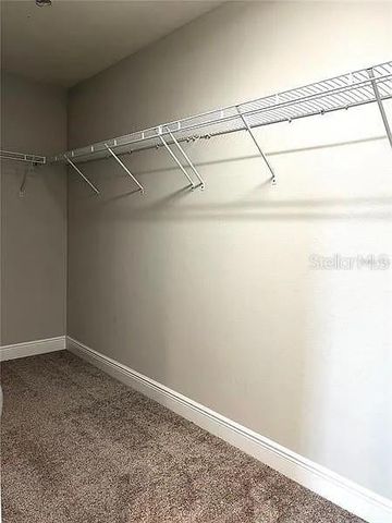 18814 CORNUTA STREET, Lutz, FL 33558