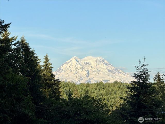 3104 Harts Lake Road S, Roy, WA 98580