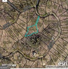 0 Harris Creek Drive 6, Ellijay, GA 30540