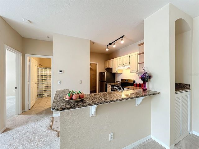 2705 MAITLAND CROSSING WAY 205, Orlando, FL 32810