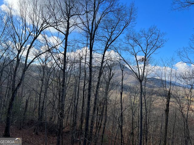2270 Valley View Drive, Hiawassee, GA 30546