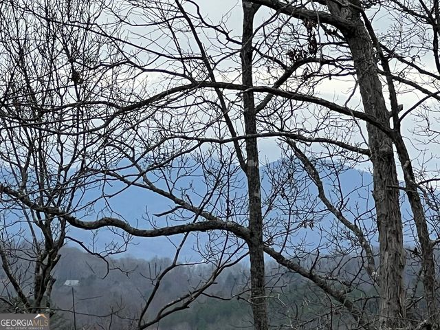 2270 Valley View Drive, Hiawassee, GA 30546