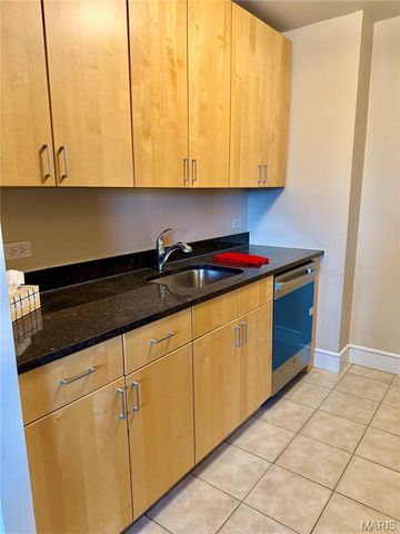 210 N 17th Street 411, St Louis, MO 63103