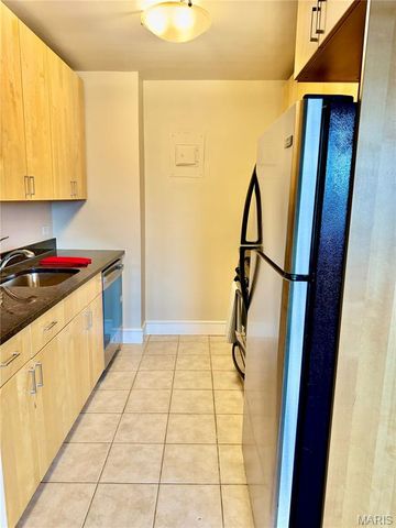 210 N 17th Street 411, St Louis, MO 63103