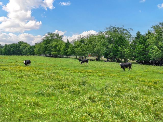 Tract 6 FM 855, Jacksonville, TX 75766