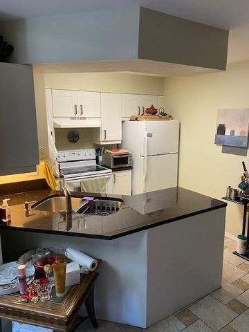 1255 WYNDHAM Drive 201, Palatine, IL 60074