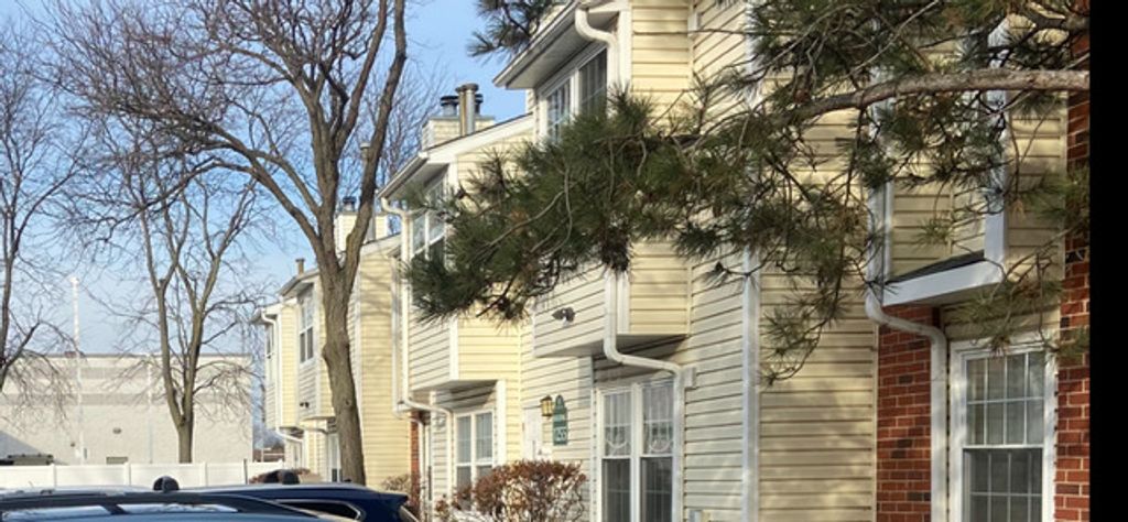 1255 WYNDHAM Drive 201, Palatine, IL 60074