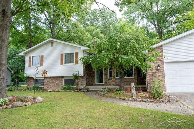 10298 Rene Drive, Clio, MI 48420