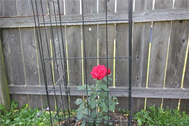 112 FERREL Street, Platte City, MO 64079