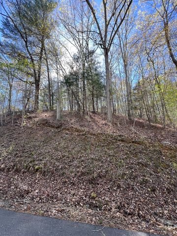 Lot 2 Lonesome Pine, Murphy, NC 28906