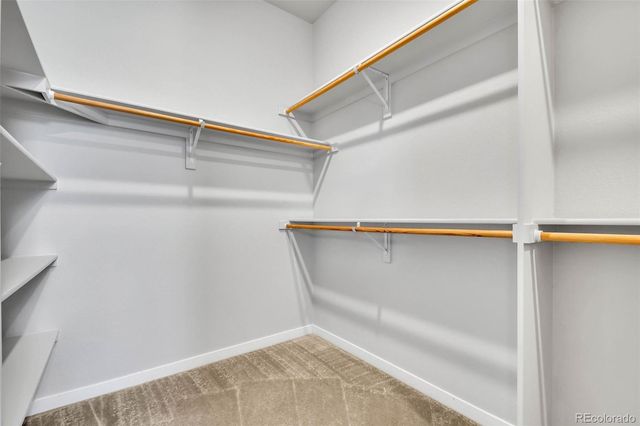 16080 Atlantic Peak Way, Broomfield, CO 80023