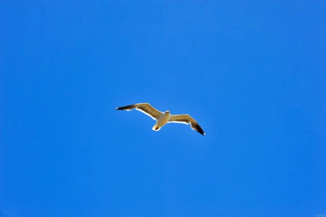 2535 Jefferson Street 10, Carlsbad, CA 92008