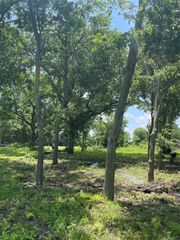 TBD Longview Creeek Trail, Itasca, TX 76055