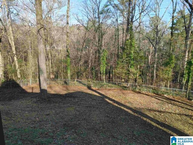 3035 APPLE VALLEY LANE, Birmingham, AL 35215