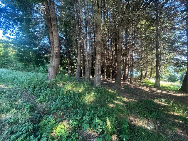 60 Highview Circle, Shelter Cove, CA 95589