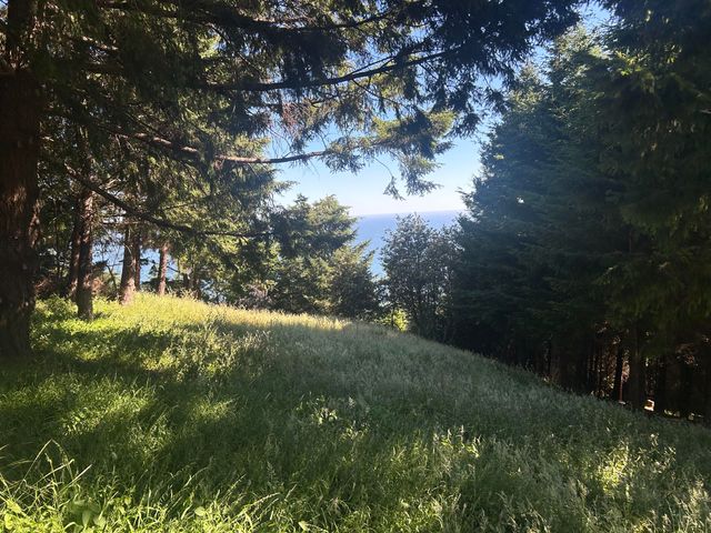 60 Highview Circle, Shelter Cove, CA 95589