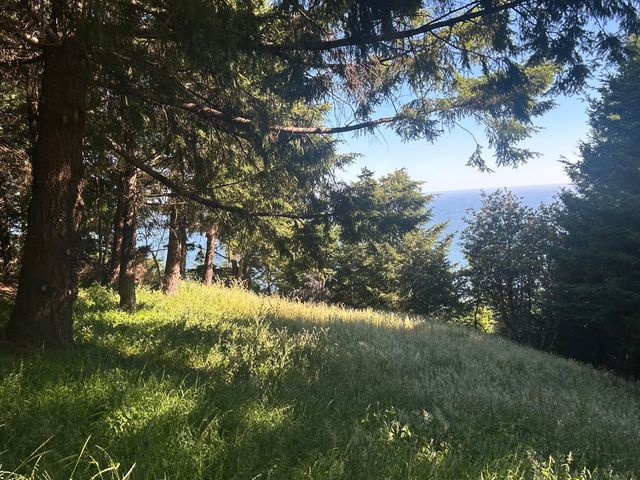 60 Highview Circle, Shelter Cove, CA 95589