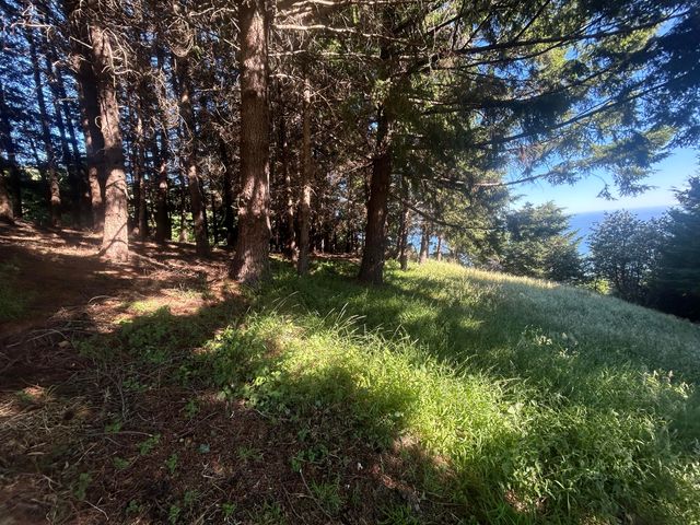 60 Highview Circle, Shelter Cove, CA 95589