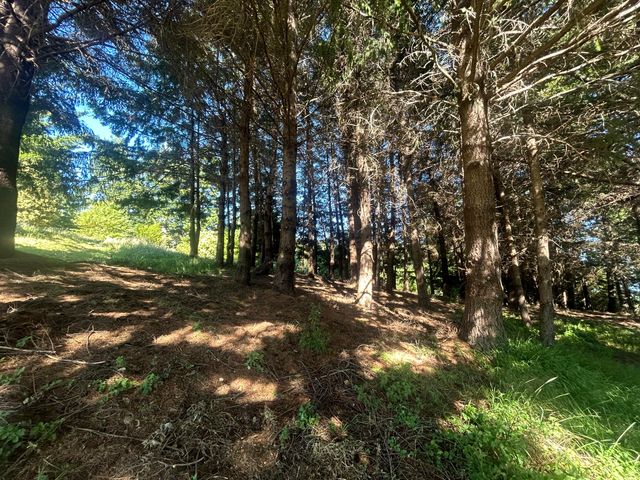 60 Highview Circle, Shelter Cove, CA 95589