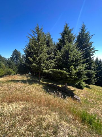 60 Highview Circle, Shelter Cove, CA 95589