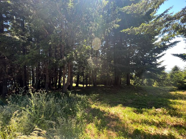 60 Highview Circle, Shelter Cove, CA 95589