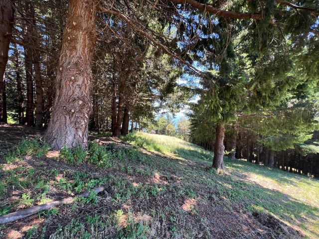 60 Highview Circle, Shelter Cove, CA 95589