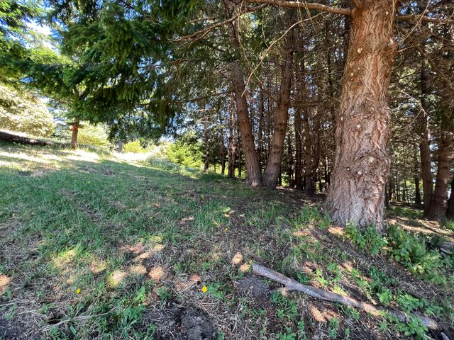 60 Highview Circle, Shelter Cove, CA 95589