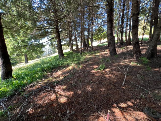 60 Highview Circle, Shelter Cove, CA 95589