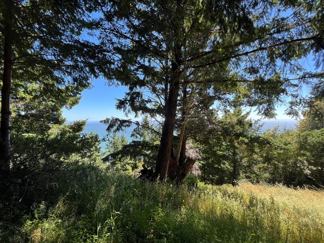 60 Highview Circle, Shelter Cove, CA 95589