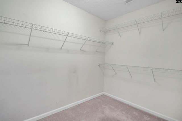 209 Spring Tyme Court, Lexington, SC 29073