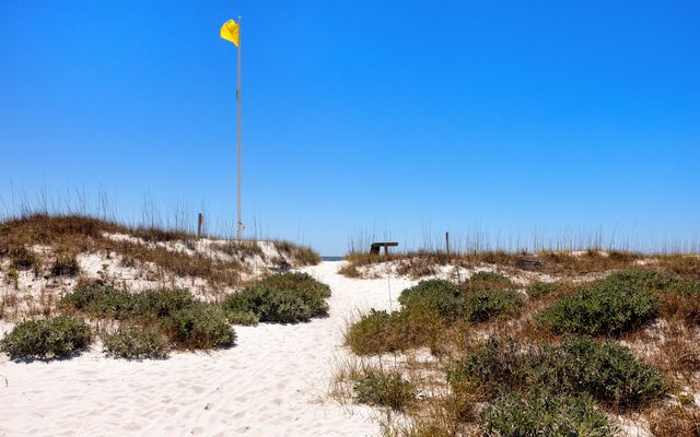 100 S Bridge Lane UNIT 214C, Inlet Beach, FL 32461