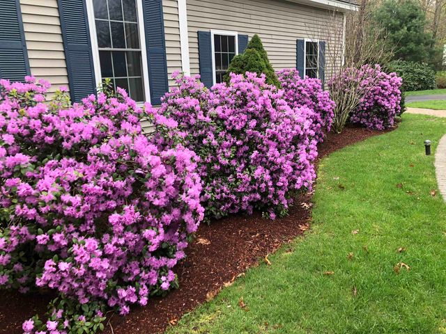 31 Bear Run Drive, Litchfield, NH 03052