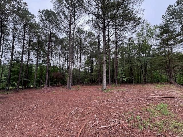 0 Peachview Boulevard, Gaffney, SC 29341