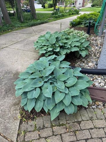 1235 Yorkshire Road, Birmingham, MI 48009