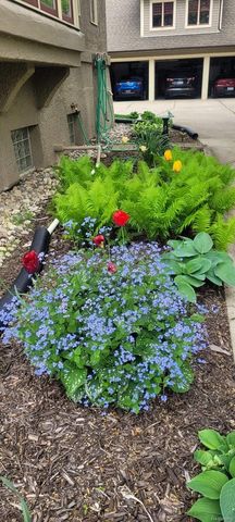 1235 Yorkshire Road, Birmingham, MI 48009