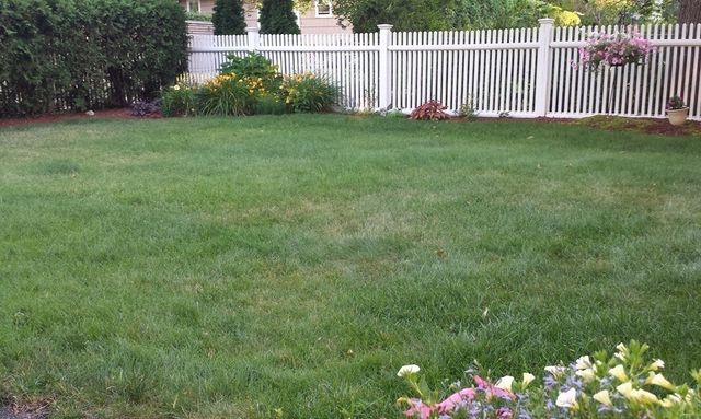 17 Charles Rd 17, Winchester, MA 01890