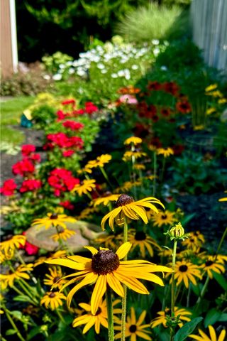 1277 Jo Fran Drive, Vicksburg, MI 49097