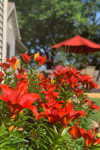 1277 Jo Fran Drive, Vicksburg, MI 49097