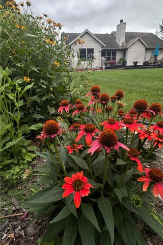 1277 Jo Fran Drive, Vicksburg, MI 49097