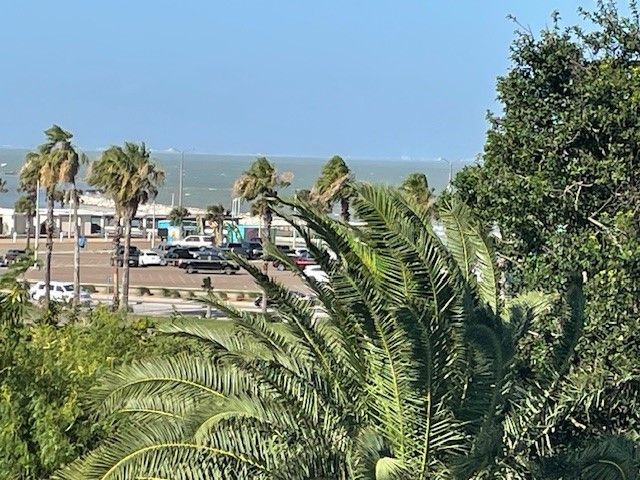 715 S Upper Broadway St 202, Corpus Christi, TX 78401