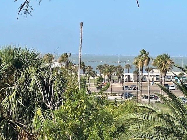 715 S Upper Broadway St 202, Corpus Christi, TX 78401