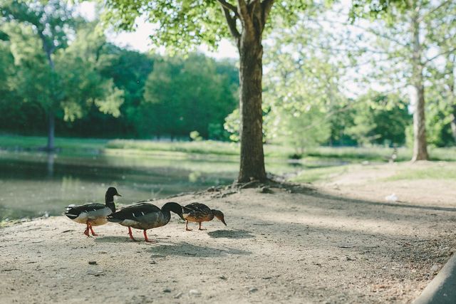 1909 Sevier St, Nashville, TN 37206