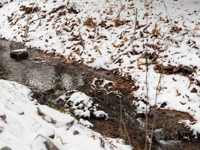 1388 Gray Drive 3, Traverse City, MI 49684