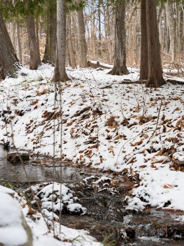 1388 Gray Drive 3, Traverse City, MI 49684