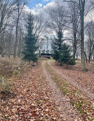 31293 Speidel Road, Hanoverton, OH 44423