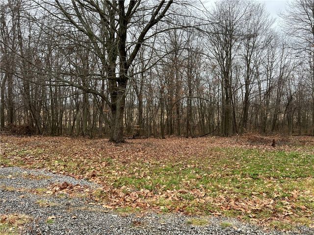 31293 Speidel Road, Hanoverton, OH 44423